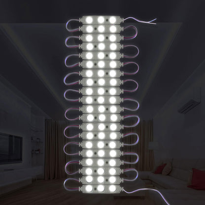 12V IP67 LED Injection Modules – Cool White, Warm White, Green, Blue & RGB - Pack of 50, Cool White