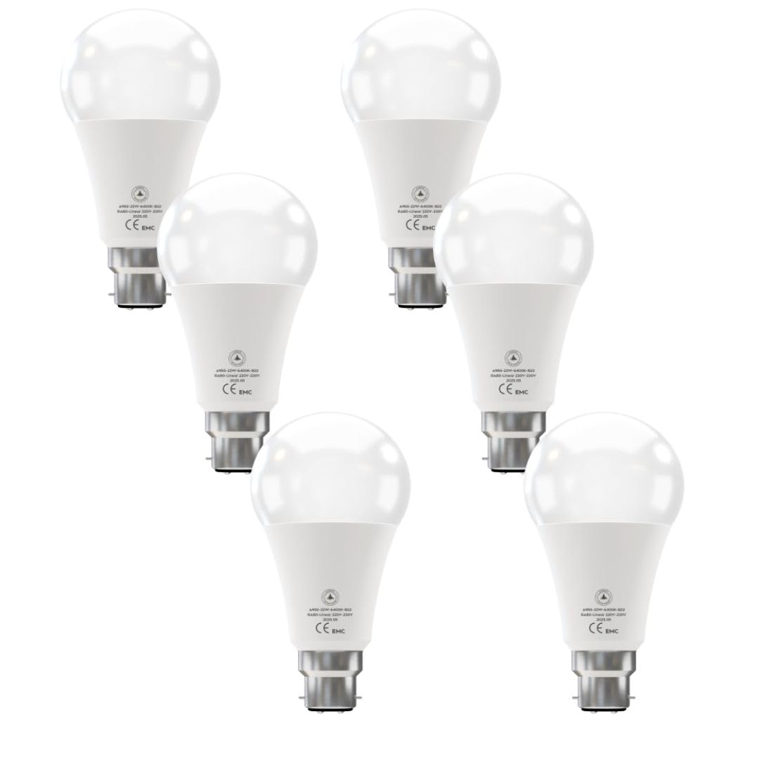 6 Pack - B22 LED Bulb SMD A95H-HP 22W Cool White 6400K Non Dimmable