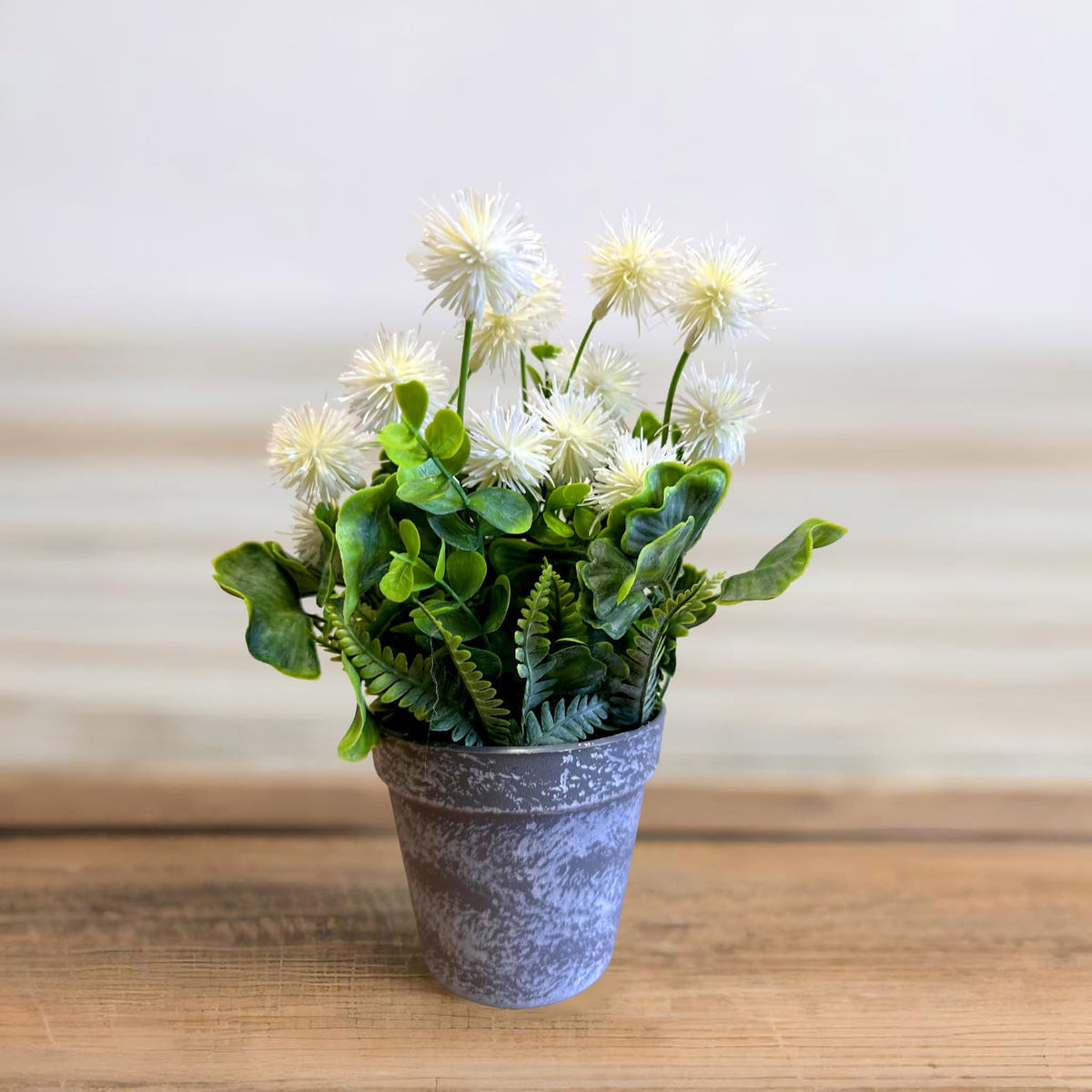 Artificial Pom-Pom Flowers in Grey Pots – Pack of 2, 3 or 4, Assorted Colours - Pack of 2