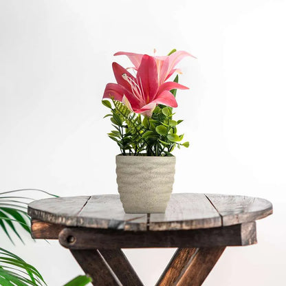 Artificial Lilies in Stone-Effect Pots – Set of 2, 27 cm, 4 Colour Choices - photo 9