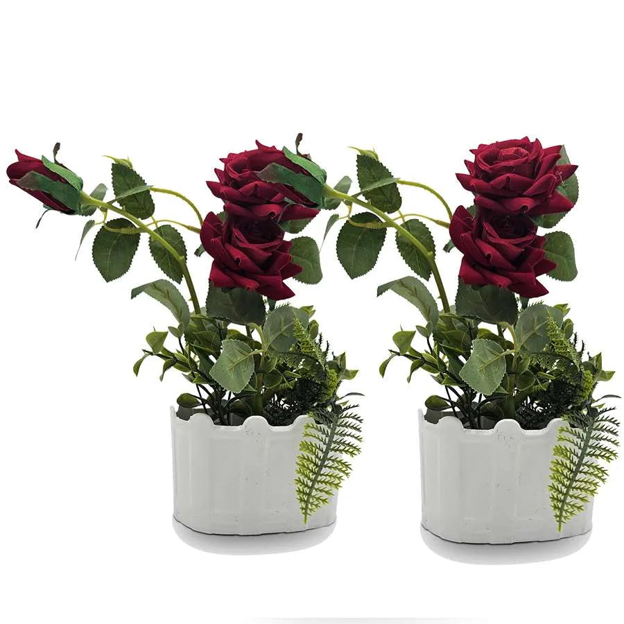 Artificial Roses in White Pots – Set of 2, 28 cm, Burgundy, Red, White or Pink - Red