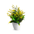 Artificial Flowering Plants in White Pots – Pack of 2, 3 or 5, Assorted Colours - Pack of 2
