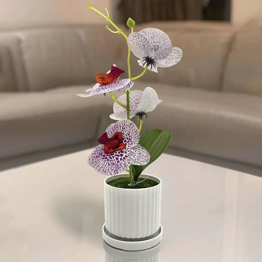 Artificial Orchids in White Ribbed Pots – Set of 2, 30 cm, Assorted Colours - photo 13