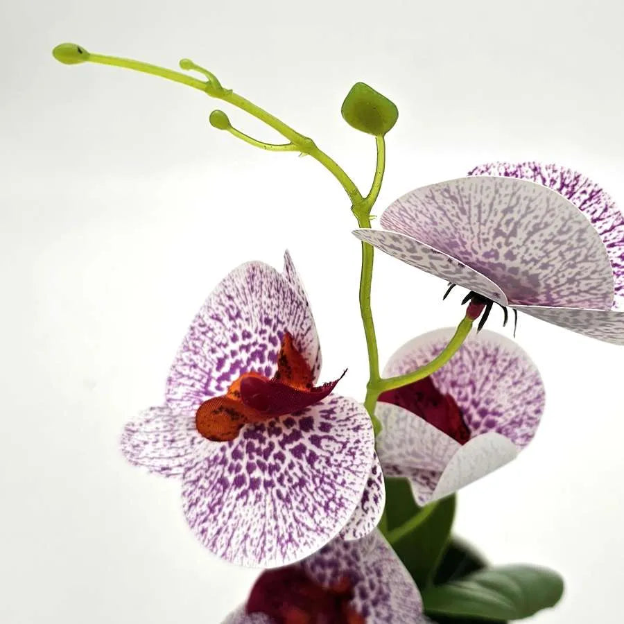 Artificial Orchids in White Ribbed Pots – Set of 2, 30 cm, Assorted Colours - photo 14