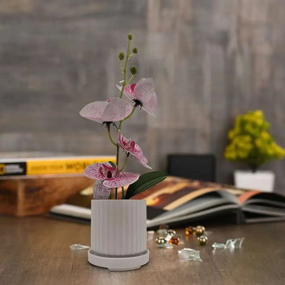 Artificial Orchids in White Ribbed Pots – Set of 2, 30 cm, Assorted Colours - photo 15