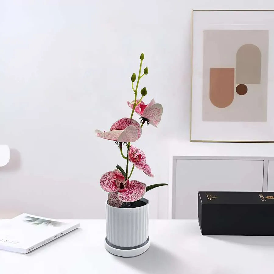 Artificial Orchids in White Ribbed Pots – Set of 2, 30 cm, Assorted Colours - photo 16