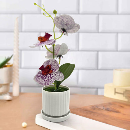 Artificial Orchids in White Ribbed Pots – Set of 2, 30 cm, Assorted Colours - photo 3