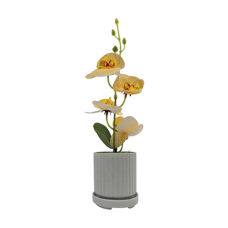 Artificial Orchids in White Ribbed Pots – Set of 2, 30 cm, Assorted Colours - photo 17