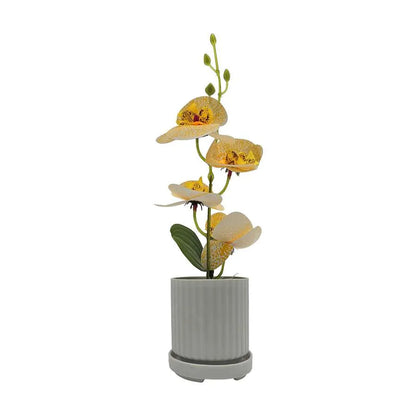 Artificial Orchids in White Ribbed Pots – Set of 2, 30 cm, Assorted Colours - photo 17