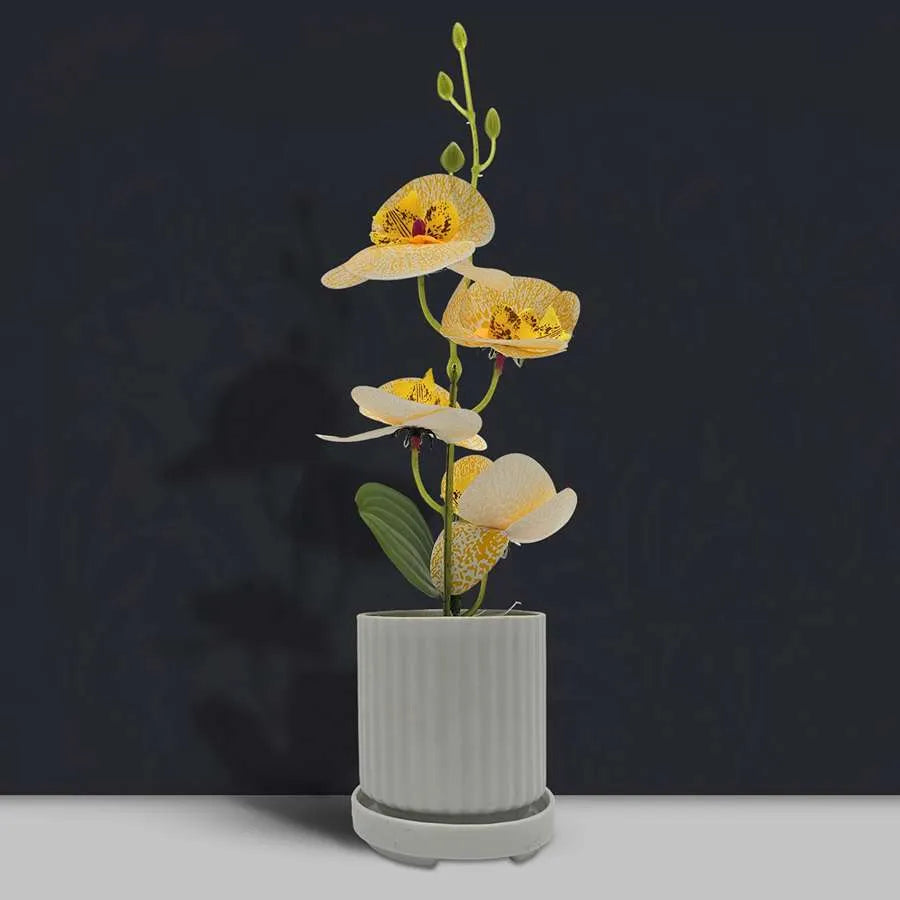 Artificial Orchids in White Ribbed Pots – Set of 2, 30 cm, Assorted Colours - photo 18