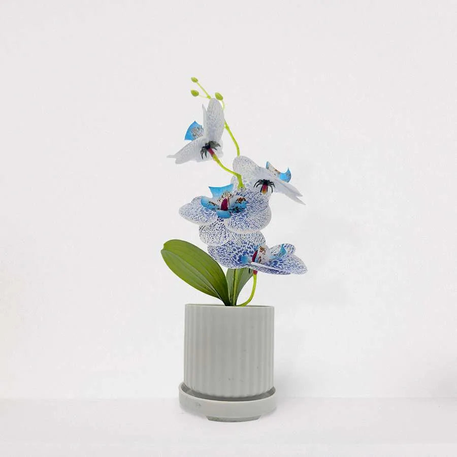 Artificial Orchids in White Ribbed Pots – Set of 2, 30 cm, Assorted Colours - photo 19