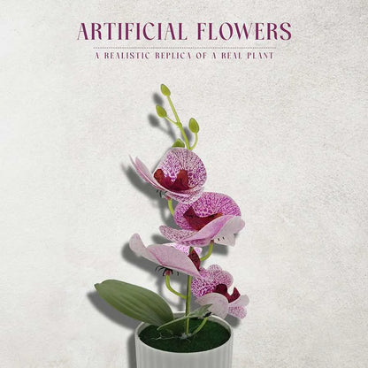 Artificial Orchids in White Ribbed Pots – Set of 2, 30 cm, Assorted Colours - photo 23