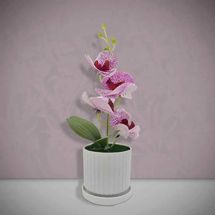 Artificial Orchids in White Ribbed Pots – Set of 2, 30 cm, Assorted Colours - photo 24