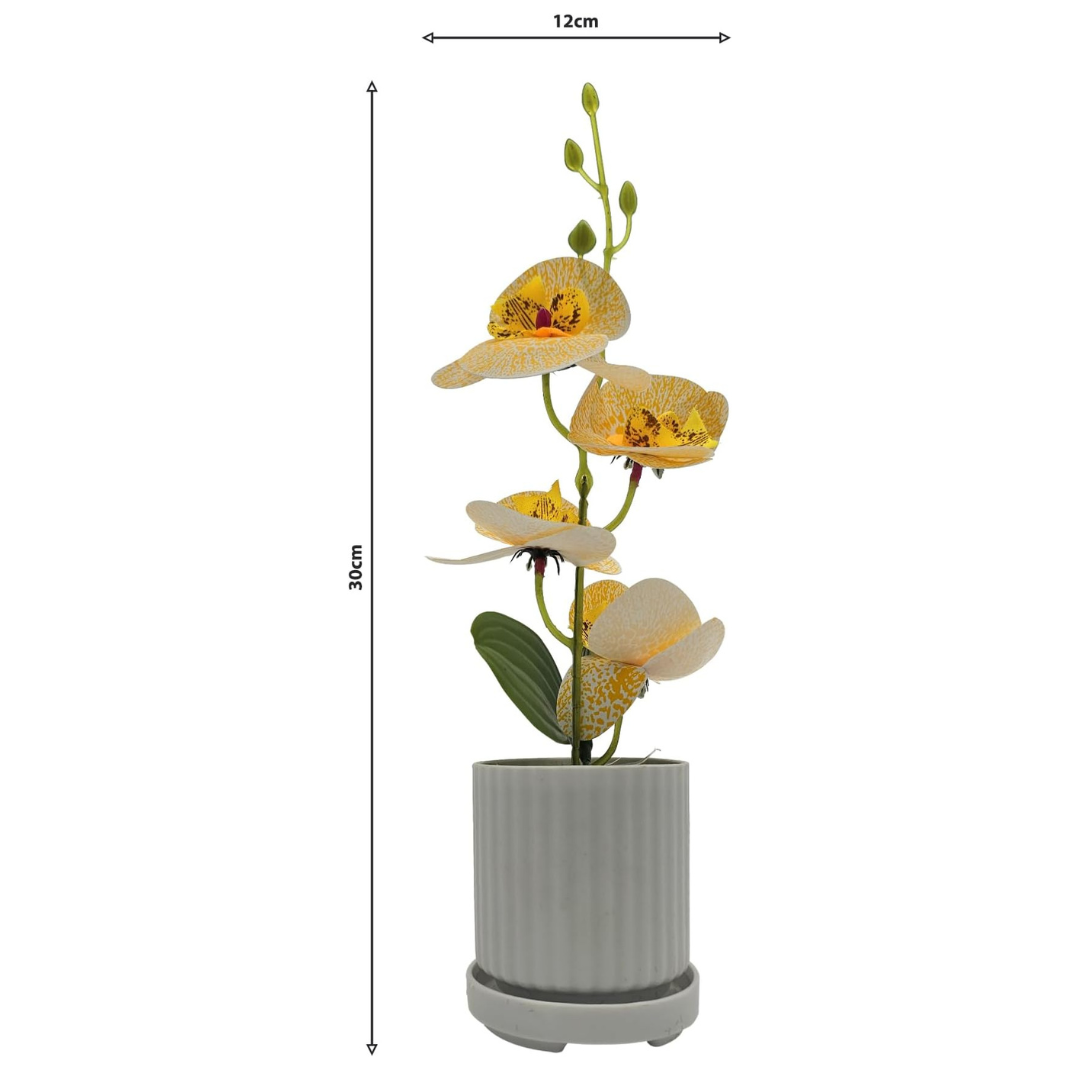 Artificial Orchids in White Ribbed Pots – Set of 2, 30 cm, Assorted Colours - photo 25