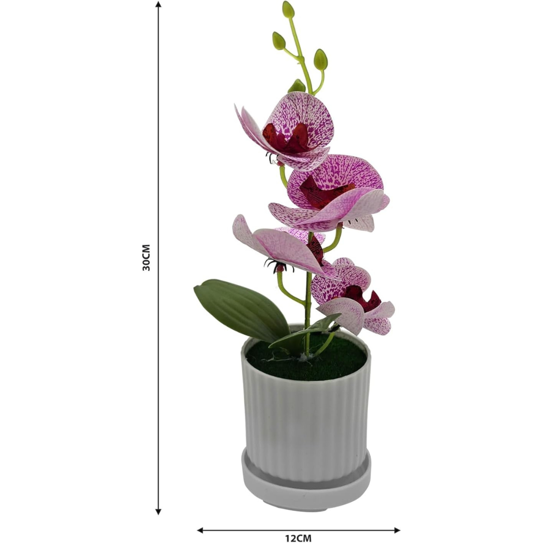 Artificial Orchids in White Ribbed Pots – Set of 2, 30 cm, Assorted Colours - photo 26