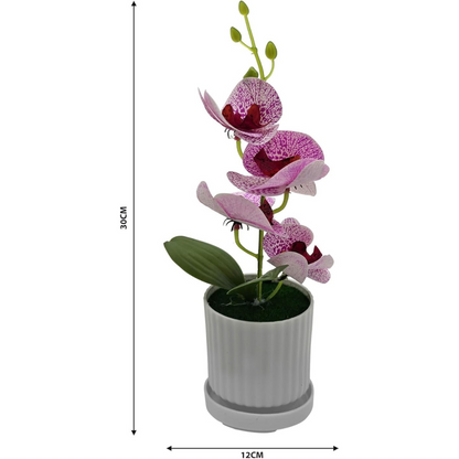 Artificial Orchids in White Ribbed Pots – Set of 2, 30 cm, Assorted Colours - photo 26