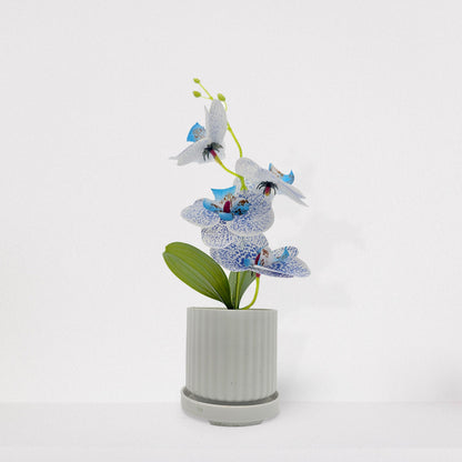 Artificial Orchids in White Ribbed Pots – Set of 2, 30 cm, Assorted Colours - photo 5