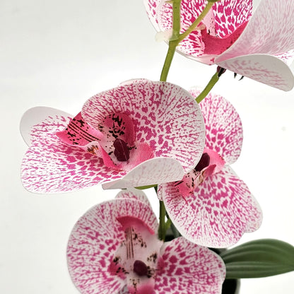 Artificial Orchids in White Ribbed Pots – Set of 2, 30 cm, Assorted Colours - photo 6