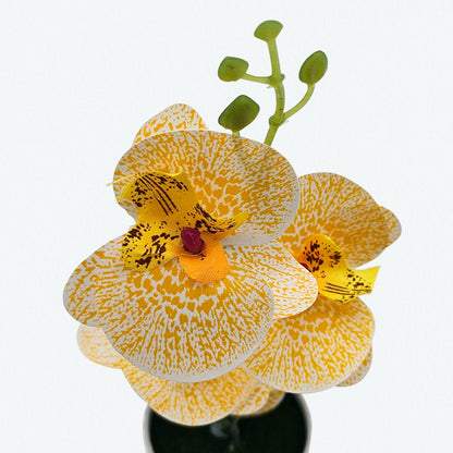 Artificial Orchids in White Ribbed Pots – Set of 2, 30 cm, Assorted Colours - photo 7