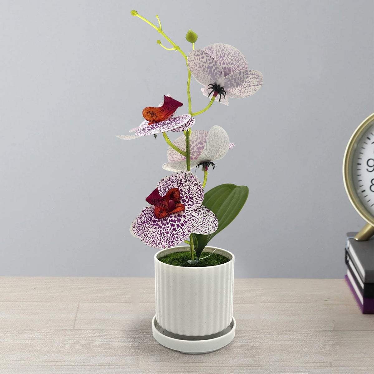 Artificial Orchids in White Ribbed Pots – Set of 2, 30 cm, Assorted Colours - photo 8