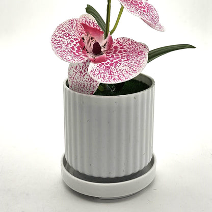 Artificial Orchids in White Ribbed Pots – Set of 2, 30 cm, Assorted Colours - photo 9