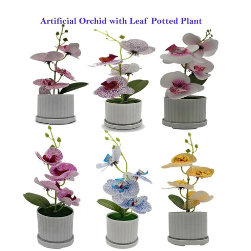 Artificial Orchids in White Ribbed Pots – Set of 2, 30 cm, Assorted Colours - photo 2