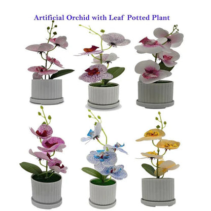 Artificial Orchids in White Ribbed Pots – Set of 2, 30 cm, Assorted Colours - photo 2