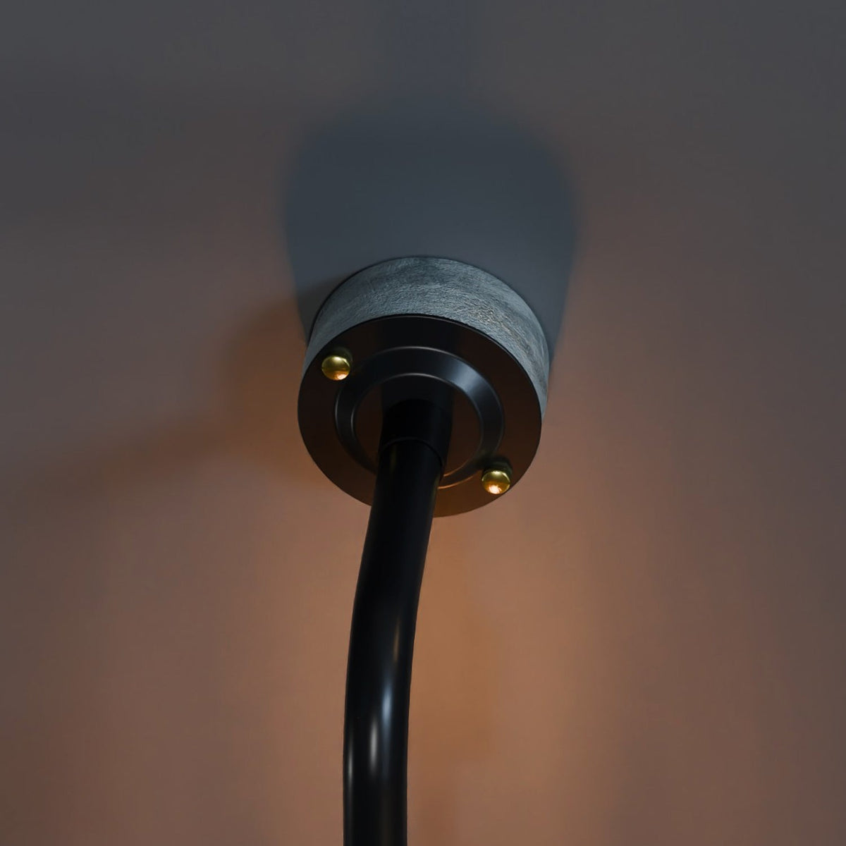 20mm Conduit Dome Cover - photo 14