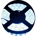 Cool White LED Strip Light 5m – 12V 3528, 300 LEDs, Splash Proof