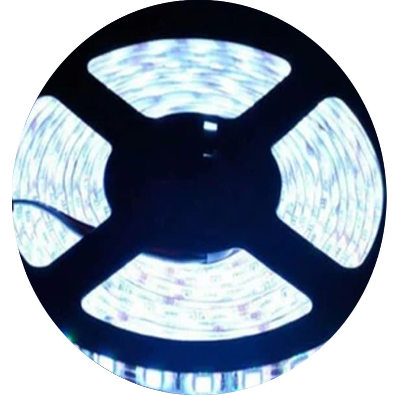 Cool White LED Strip Light 5m – 12V 3528, 300 LEDs, Splash Proof