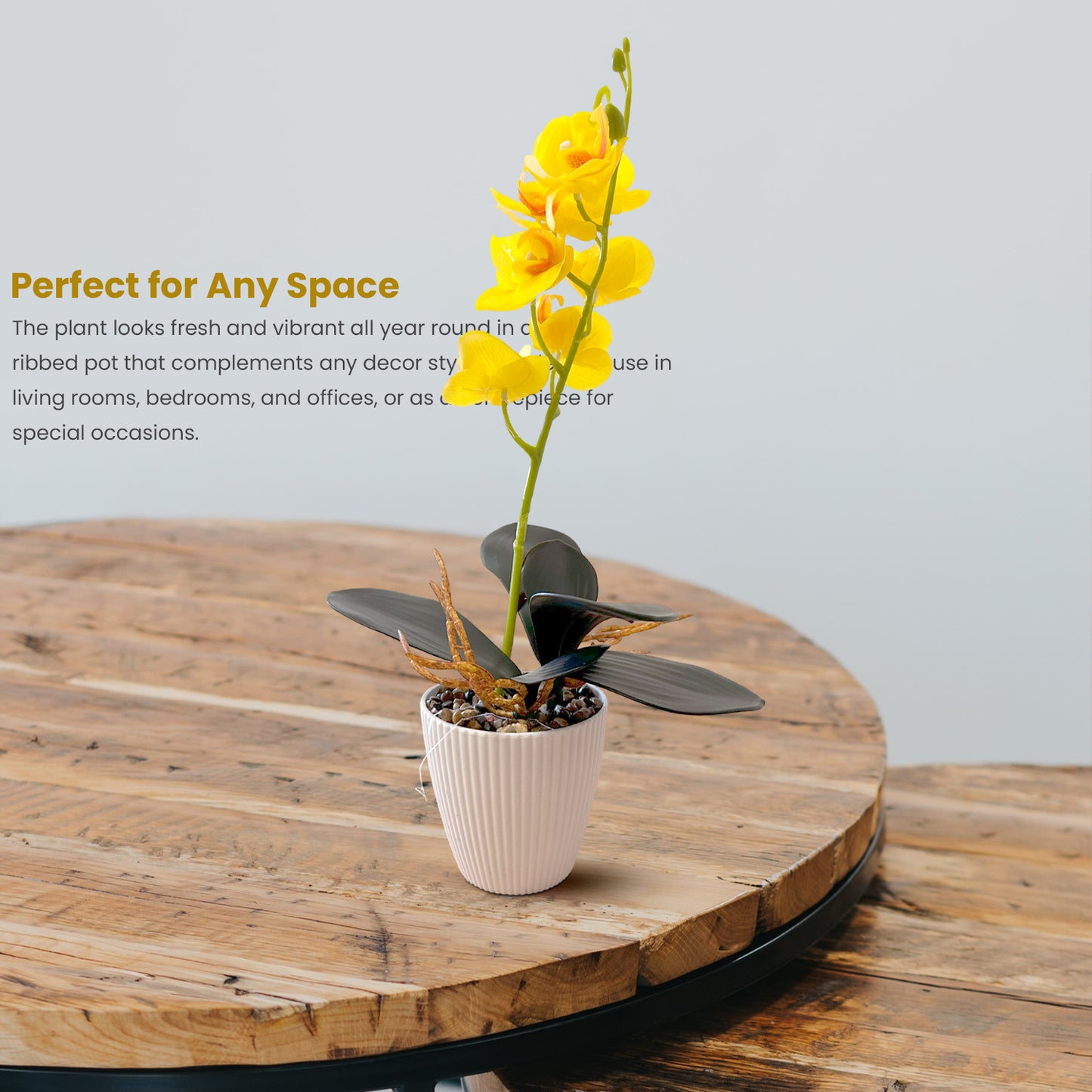 Artificial Orchid with Leaf Potted Plant for Table Decoration ~1233