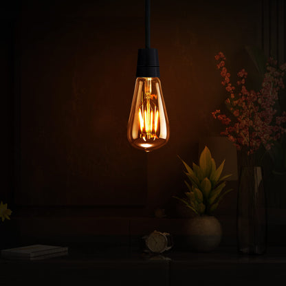 LED Edison Vintage Bulbs, B22 LED Light Bulb ~ 1332