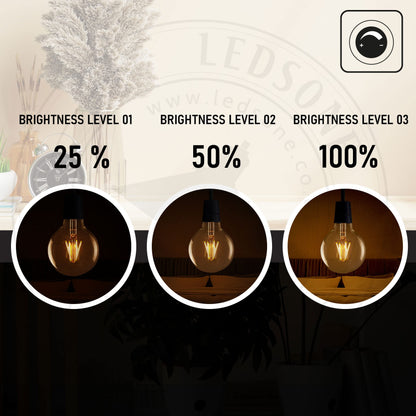 G 80-125W LED Bulb B22/E27 Dimmable Amber Glass~1337