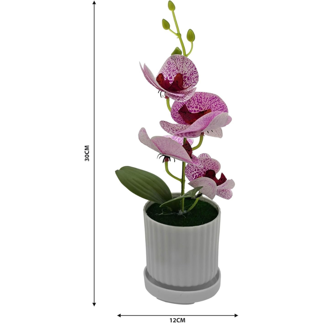 Artificial Pot Plants Orchid 2 Pack ~1051