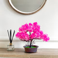 Artificial Flowering Bonsai Trees in Pots – Pack of 2 or 3, Assorted Colours