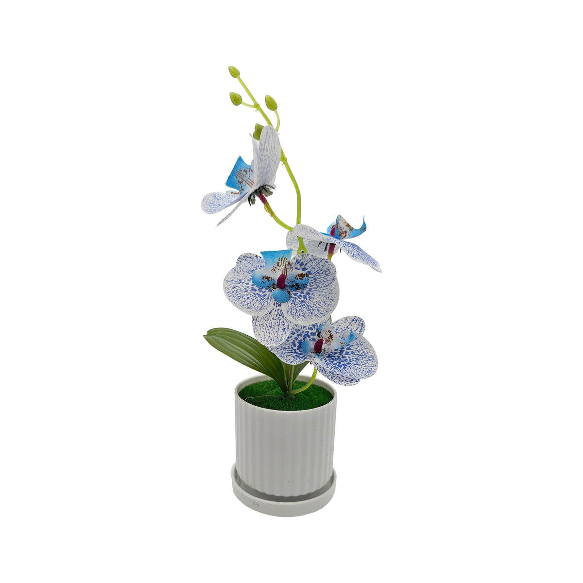 Artificial Orchids in White Ribbed Pots – Set of 2, 30 cm, 3 Colours - photo 4
