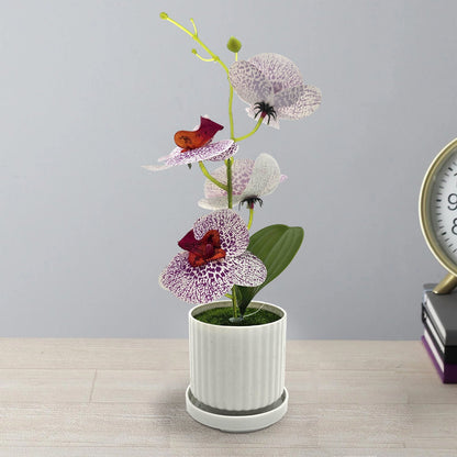 Artificial Orchids in White Ribbed Pots – Set of 2, 30 cm, 3 Colours - photo 5