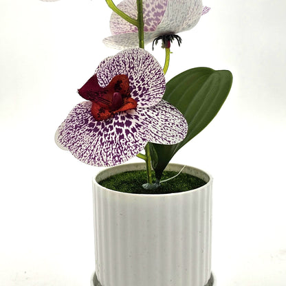 Artificial Orchids in White Ribbed Pots – Set of 2, 30 cm, 3 Colours - photo 6