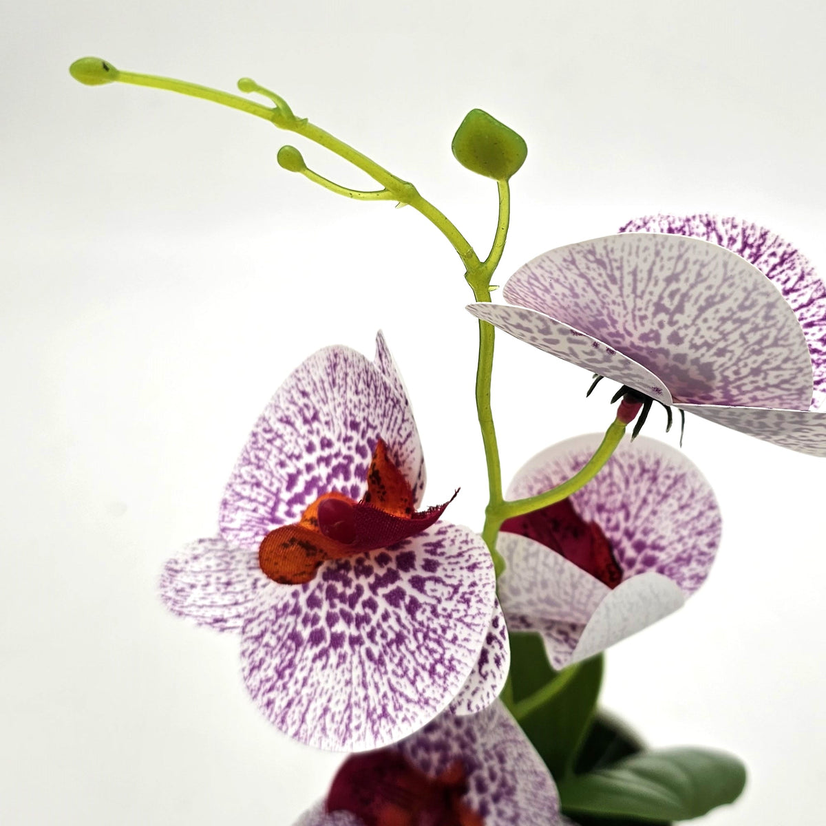 Artificial Orchids in White Ribbed Pots – Set of 2, 30 cm, 3 Colours - photo 7