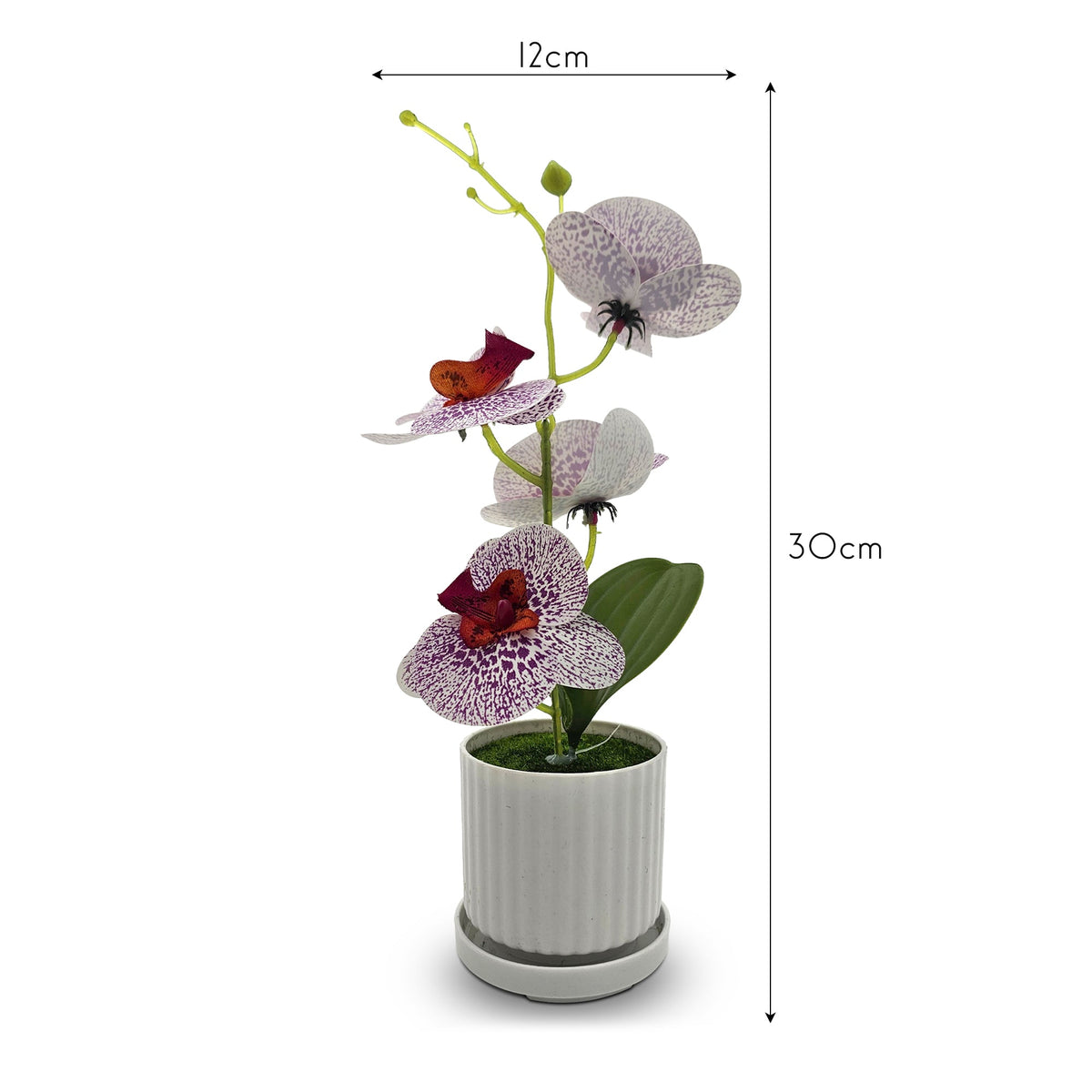 Artificial Orchids in White Ribbed Pots – Set of 2, 30 cm, 3 Colours - photo 8