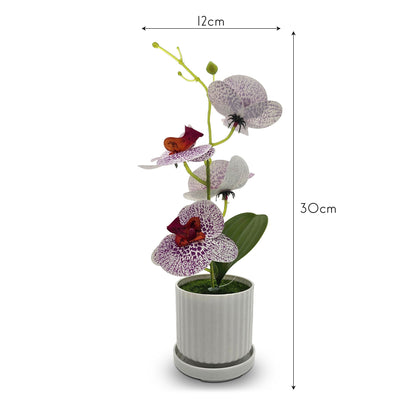 Artificial Orchids in White Ribbed Pots – Set of 2, 30 cm, 3 Colours - photo 8