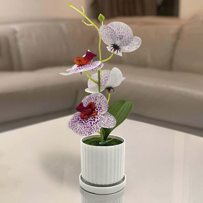 Artificial Orchids in White Ribbed Pots – Set of 2, 30 cm, 3 Colours - photo 9