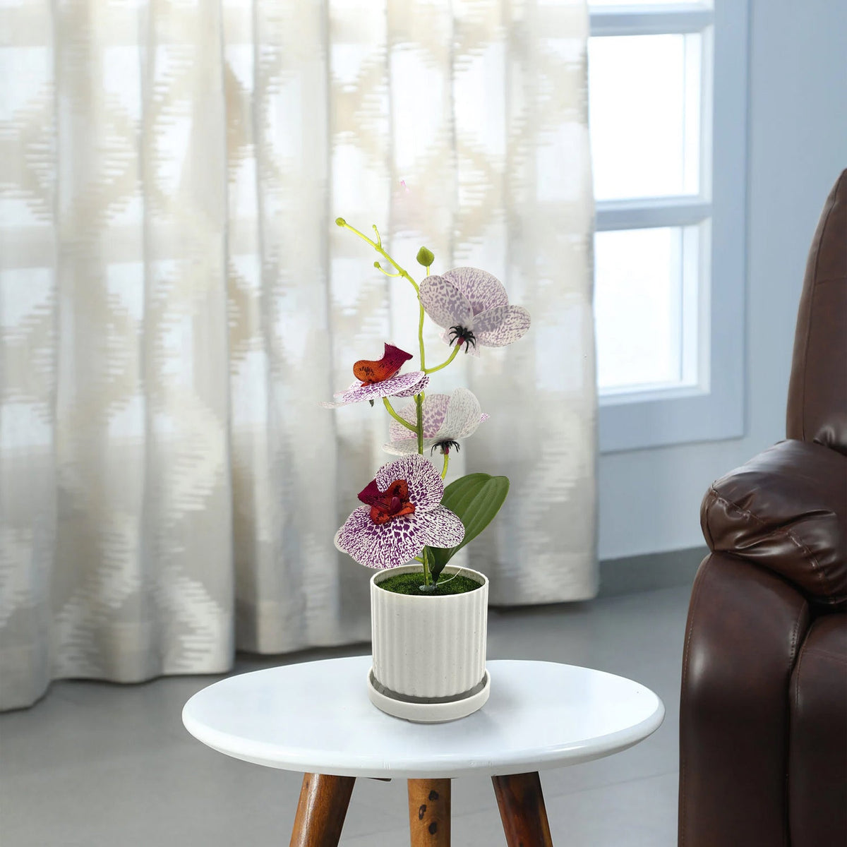 Artificial Orchids in White Ribbed Pots – Set of 2, 30 cm, 3 Colours - photo 10
