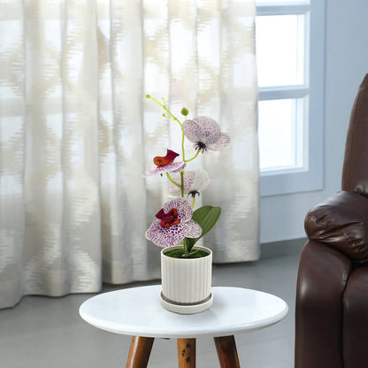 Artificial Orchids in White Ribbed Pots – Set of 2, 30 cm, 3 Colours - photo 10
