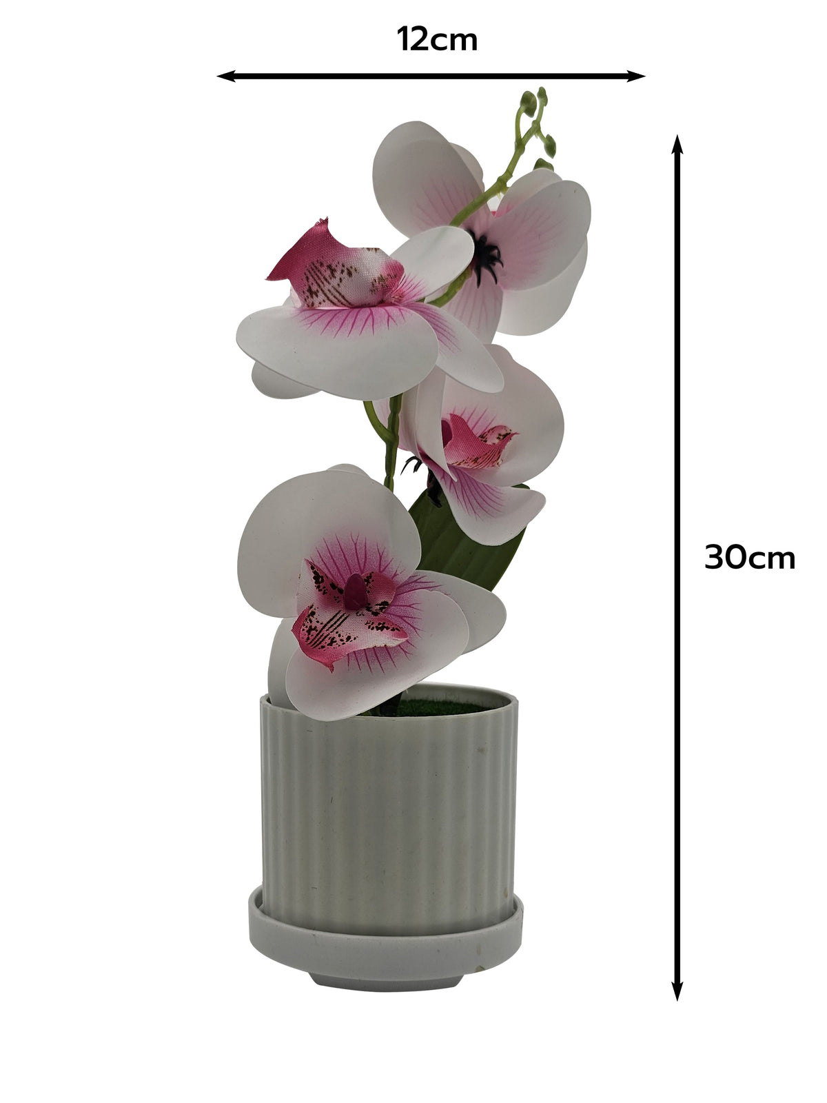 Artificial Orchids in White Ribbed Pots – Set of 2, 30 cm, 3 Colours - White & Pink