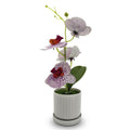 Artificial Orchids in White Ribbed Pots – Set of 2, 30 cm, 3 Colours - White & Purple