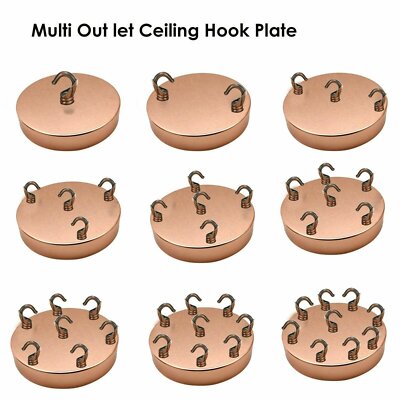 Ceiling Rose with Hook – Single or 2-9 Outlet Plates, 8 Finishes - 120 mm, 2 Outlets with Hooks, Rose Gold, Single
