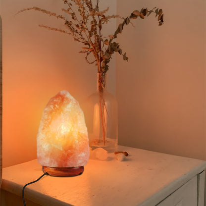 E14 salt lamp cord 2m with Switch - photo 3