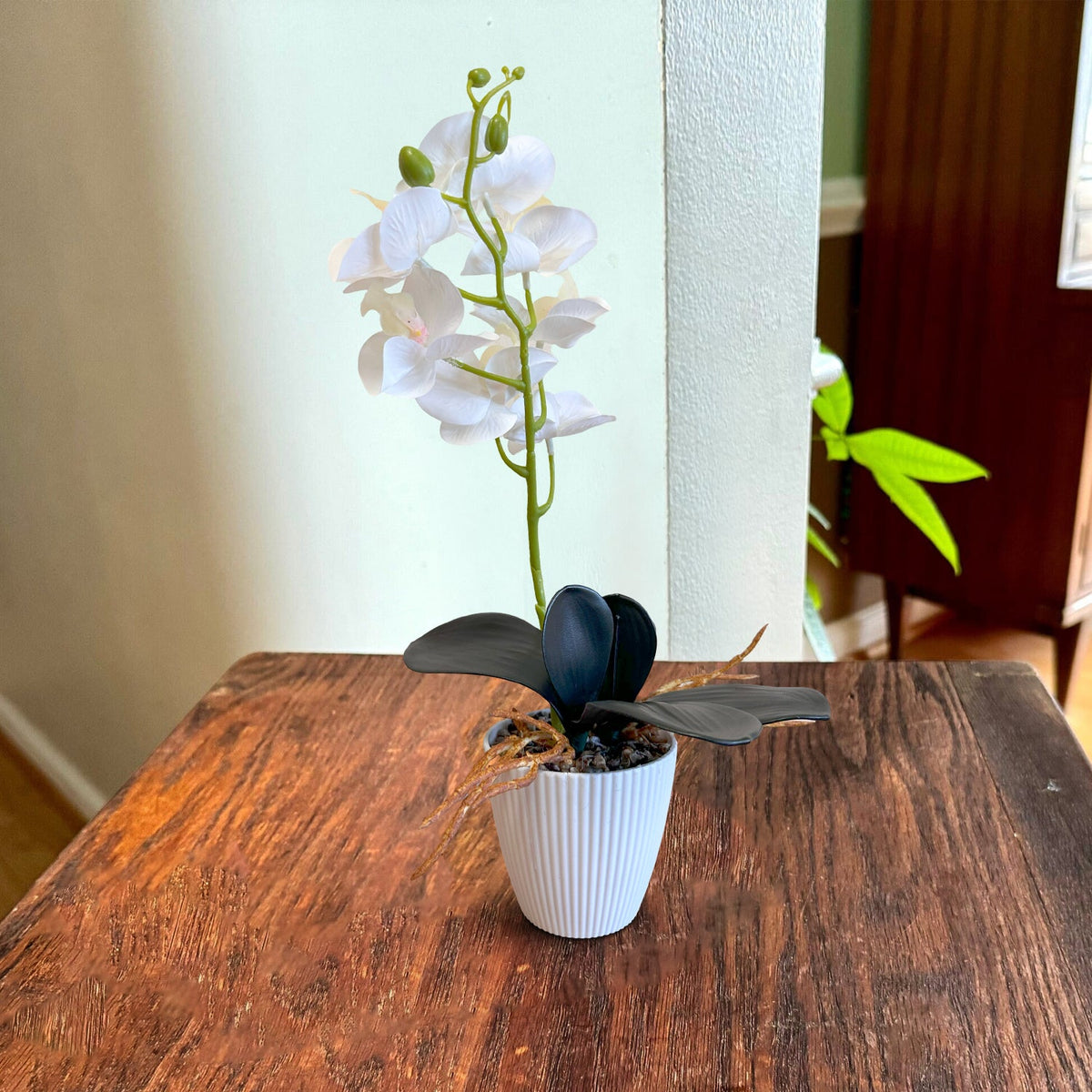 Artificial Orchid Plants in White Pots – 37 cm, Pack of 2 or 3, Assorted Colours - photo 18