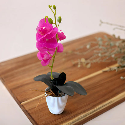 Artificial Orchid Plants in White Pots – 37 cm, Pack of 2 or 3, Assorted Colours - photo 20